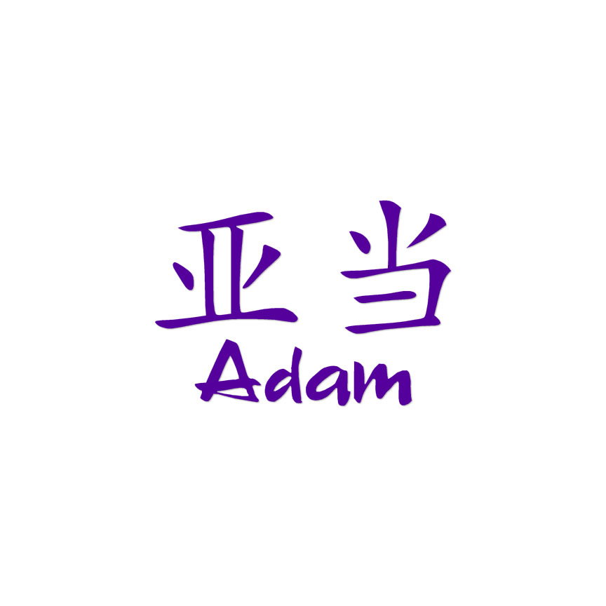 アダムん Chinese Symbol Adam Name - Decal Sticker - Multiple Colors & Sizes